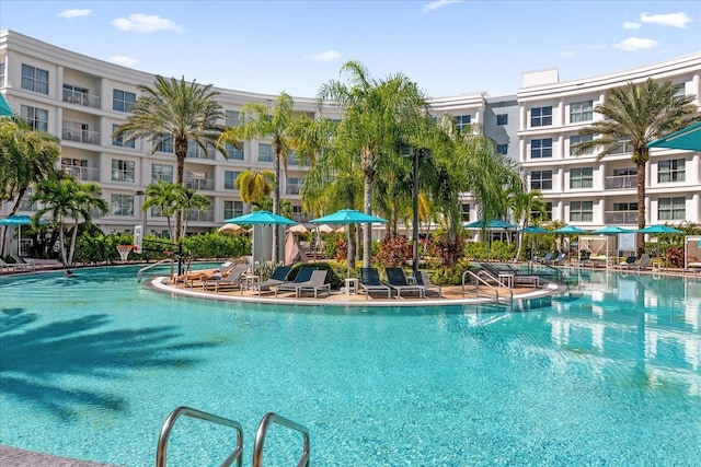 view of swimming pool