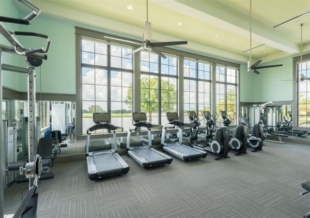 workout area featuring a towering ceiling, a healthy amount of sunlight, and carpet flooring