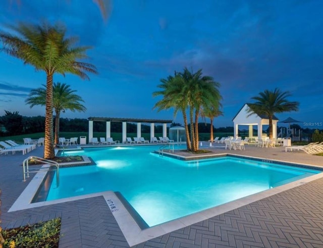 view of swimming pool with a patio