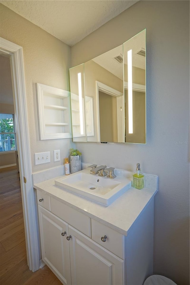 bathroom featuring vanity and wood-type flooring