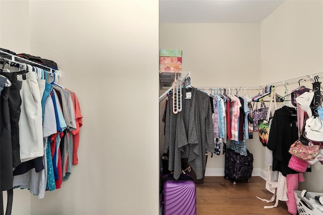 spacious closet with wood-type flooring