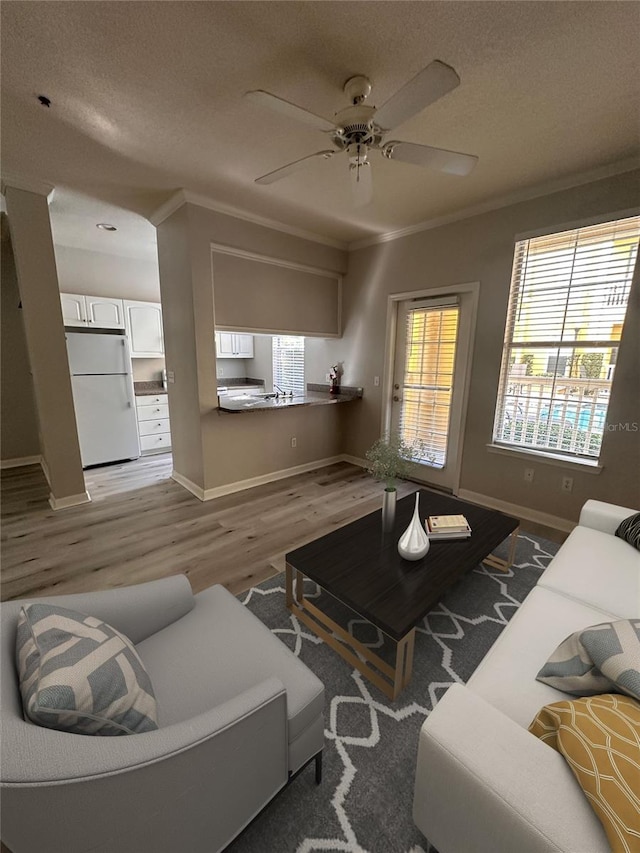 living room with crown molding, hardwood / wood-style floors, a textured ceiling, and ceiling fan