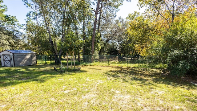 view of yard with a storage shed