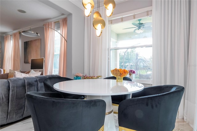 dining area with a wealth of natural light and ceiling fan