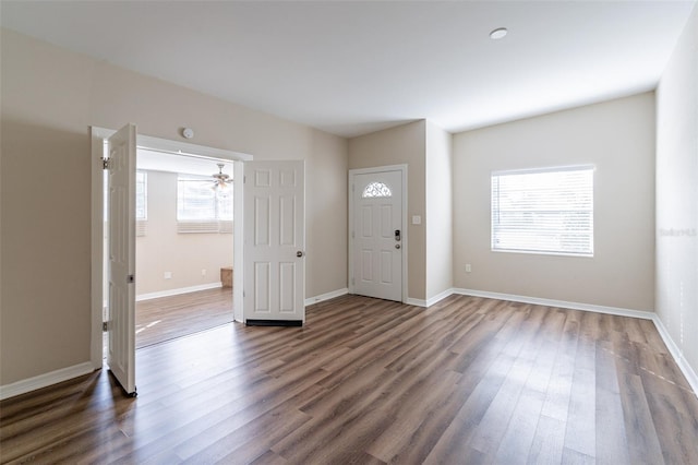 entrance foyer with ceiling fan, a wealth of natural light, and dark hardwood / wood-style floors