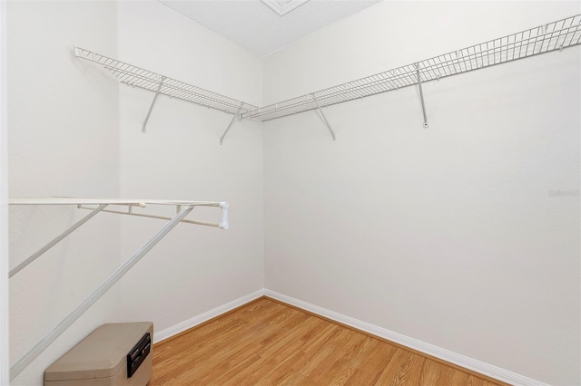 walk in closet with hardwood / wood-style floors