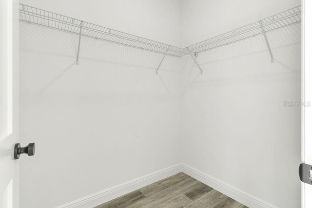 walk in closet with hardwood / wood-style flooring