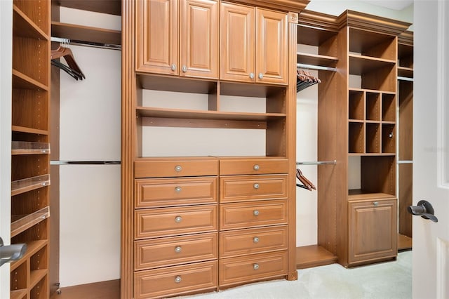 spacious closet featuring light carpet