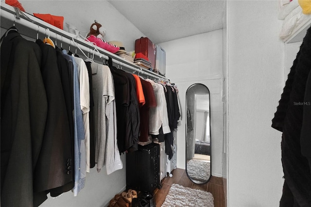 spacious closet featuring dark hardwood / wood-style flooring