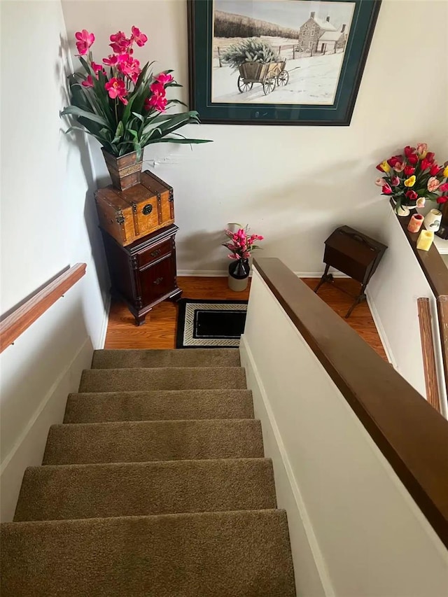 stairs with wood-type flooring