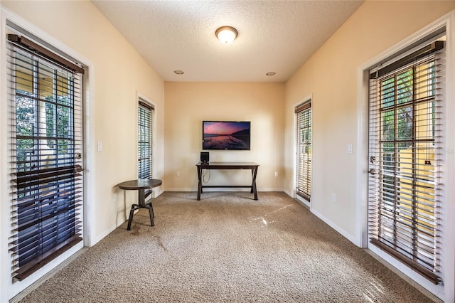 interior space featuring a textured ceiling and carpet floors