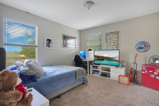 bedroom featuring carpet and multiple windows