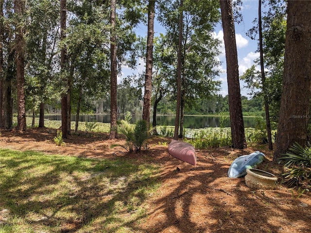 view of yard featuring a water view