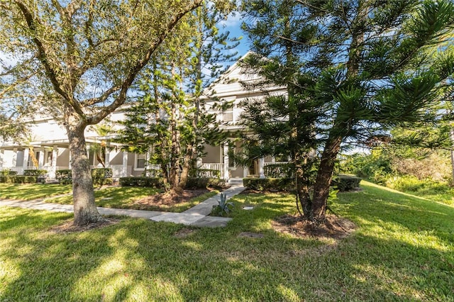 view of front facade featuring a front yard