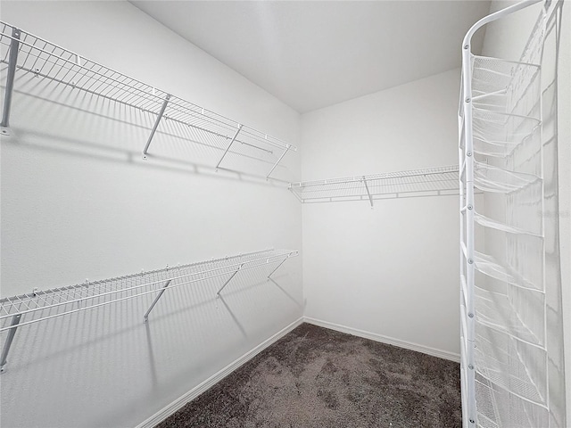 walk in closet featuring dark colored carpet