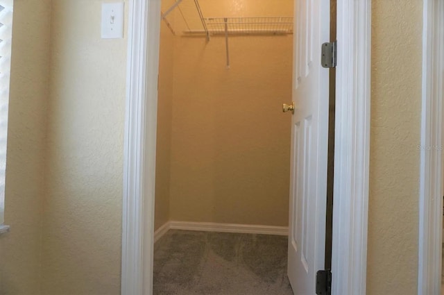 walk in closet with carpet floors