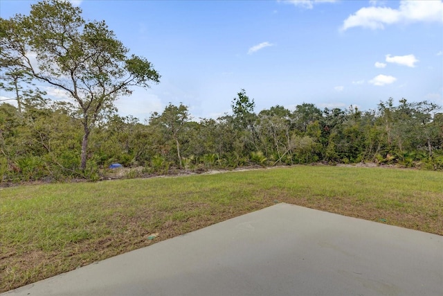 view of yard featuring a patio