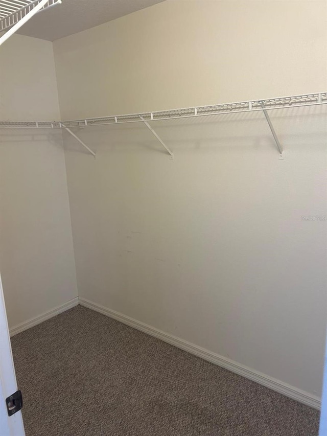 walk in closet featuring dark carpet