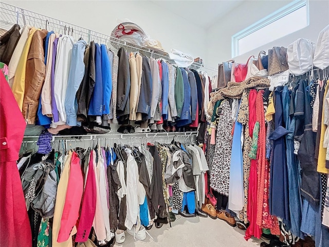 spacious closet with carpet