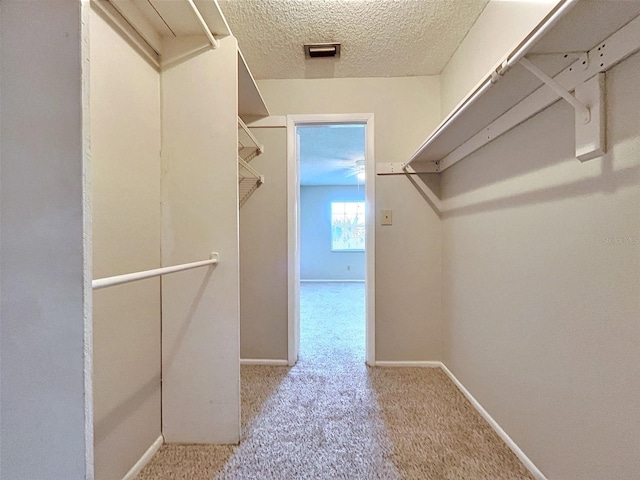 walk in closet featuring carpet