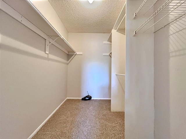 walk in closet featuring carpet flooring