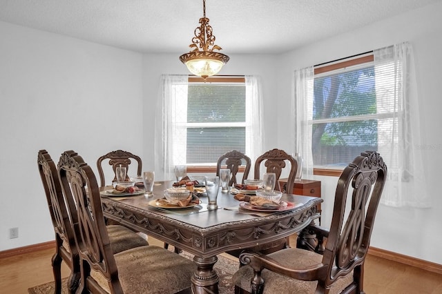 dining space with light hardwood / wood-style flooring, a textured ceiling, and a healthy amount of sunlight