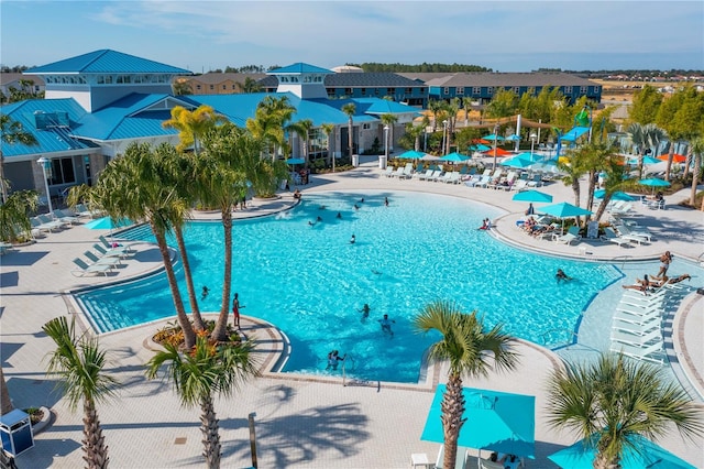 view of swimming pool with a patio