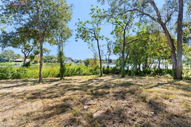 4190 Rossmore Dr, Orlando, FL 32810 - view of local wilderness with a large body of water