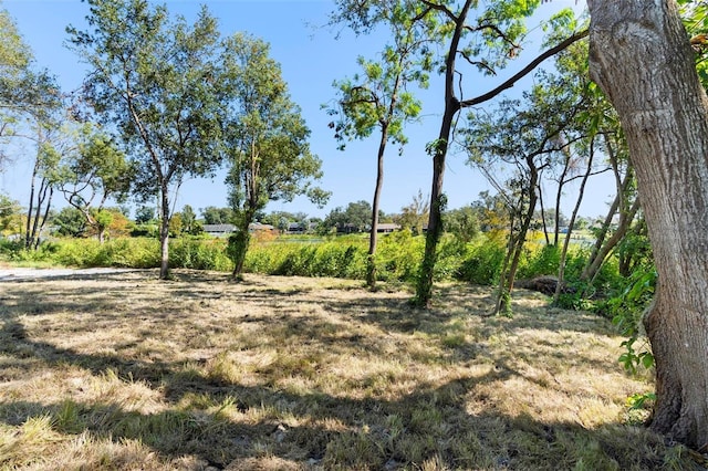 4190 Rossmore Dr, Orlando, FL 32810 - view of local wilderness