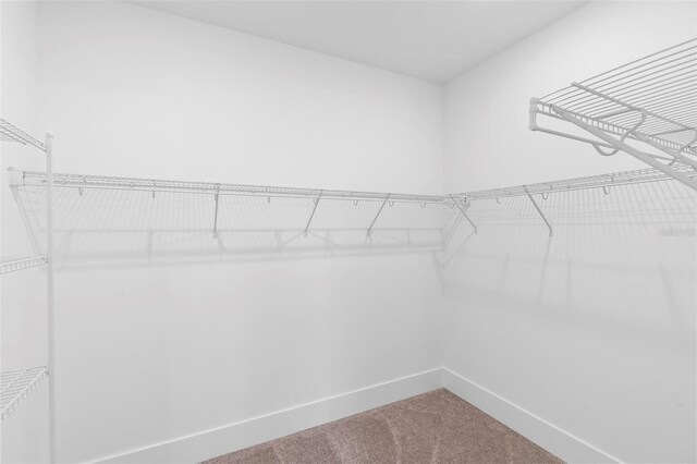 4190 Rossmore Dr, Orlando, FL 32810 - walk in closet featuring carpet floors