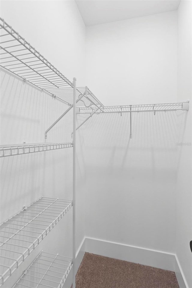 4190 Rossmore Dr, Orlando, FL 32810 - spacious closet with dark carpet