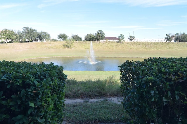 view of water feature