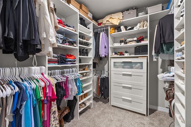 spacious closet with light colored carpet