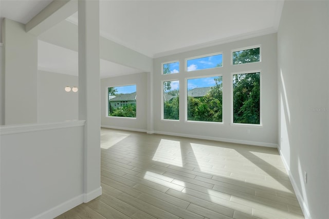 spare room with light hardwood / wood-style floors