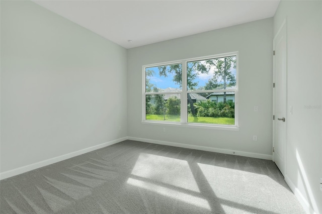 spare room featuring carpet flooring