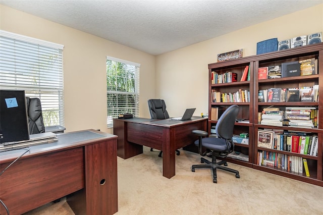 office space featuring a textured ceiling and light colored carpet