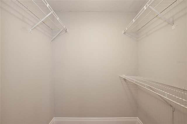 view of walk in closet