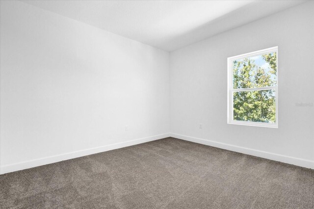 454 Lake Shore Pkwy, Davenport, FL 33896 - empty room with dark colored carpet and baseboards