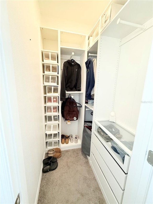 walk in closet featuring light colored carpet