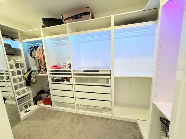 walk in closet with light colored carpet