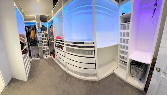 spacious closet featuring carpet flooring