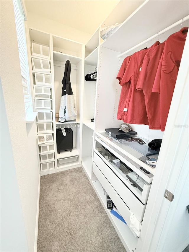 spacious closet with light colored carpet