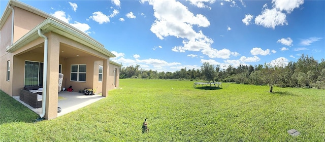 view of yard featuring a patio