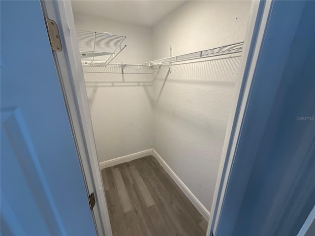 walk in closet featuring hardwood / wood-style flooring