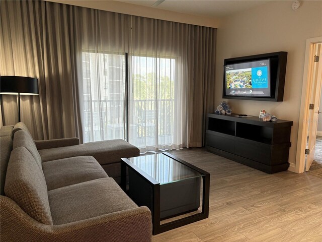 living room with light wood-type flooring