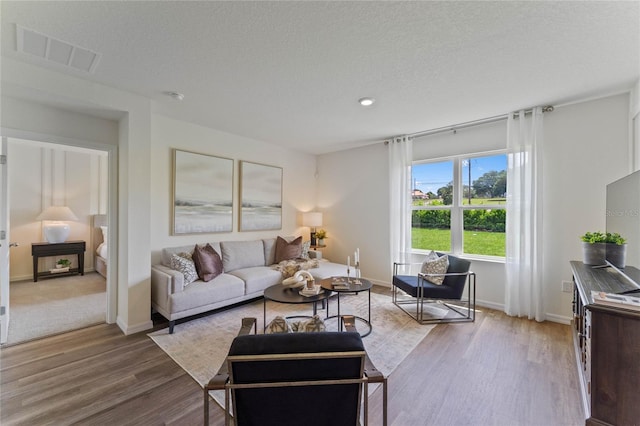 living room featuring a textured ceiling and wood-type flooring