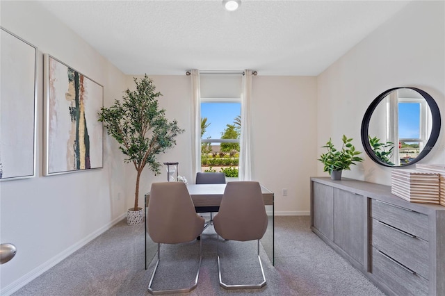 dining room featuring a healthy amount of sunlight, a textured ceiling, and light colored carpet