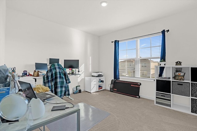 office space with light colored carpet