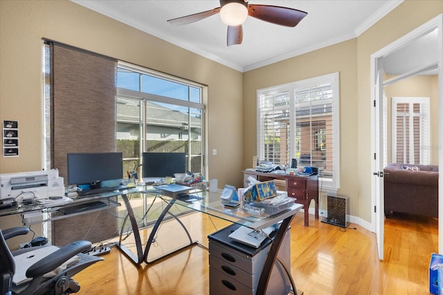 office with ornamental molding, light hardwood / wood-style flooring, and ceiling fan