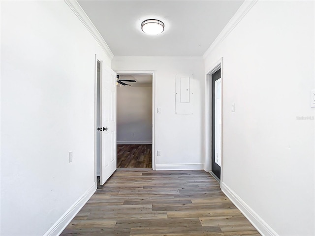 hallway featuring ornamental molding and dark hardwood / wood-style floors